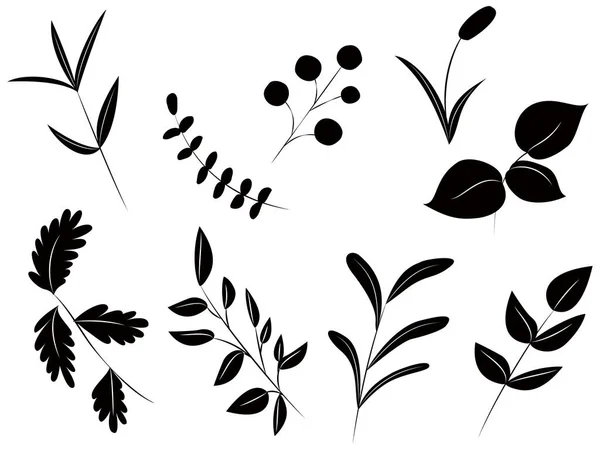 Simple Plant Leaves Monochrome — Stock Vector