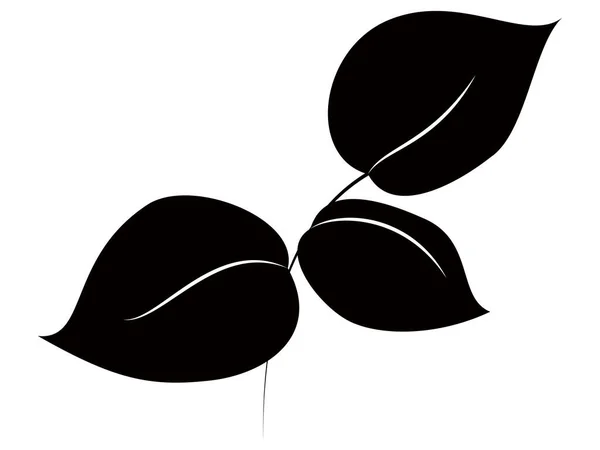 Feuilles Plantes Simples Monochromes — Image vectorielle