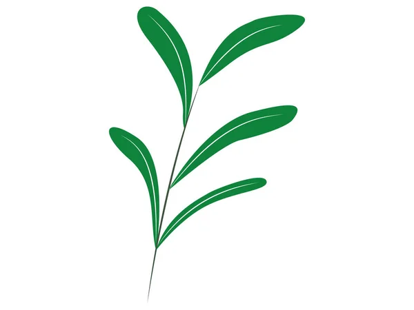 Material Verde Quadro Folha — Vetor de Stock