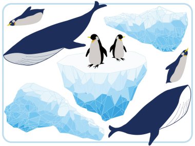 Buzdağları, penguenler ve balinalar