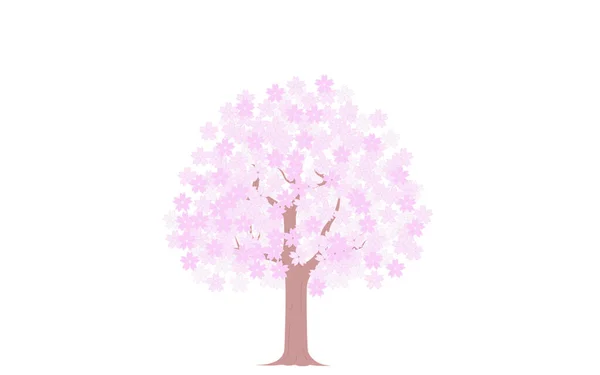 벚나무 — 스톡 벡터