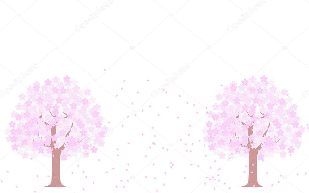 Cherry tree in full bloom and snowstorm, illustration material