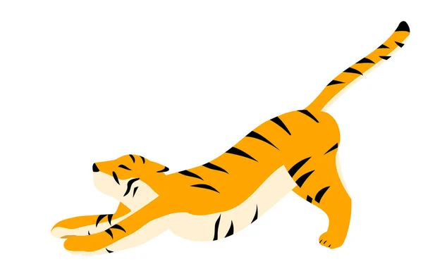 Simple Tiger Pose Illustration Stretching — Stock Vector