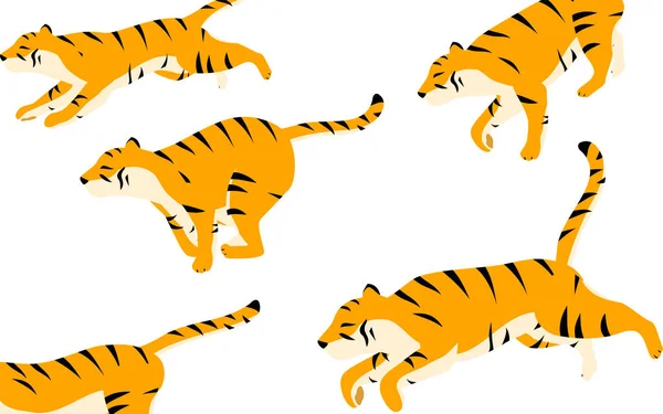 Egy Csapat Tigris Rohan Egy Kis Szünettel — Stock Vector