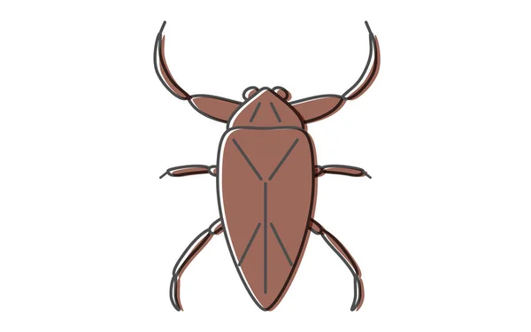 Tagame Insectes Qui Peuvent Être Consommés Par Les Insectes — Image vectorielle