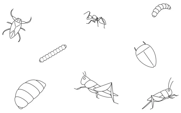 Ätliga Insekter Tapet Bakgrund Illustration — Stock vektor