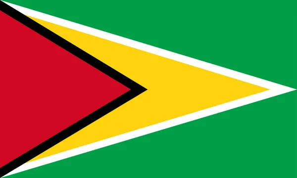 Nationale Vlag Van Wereld Guyana — Stockvector