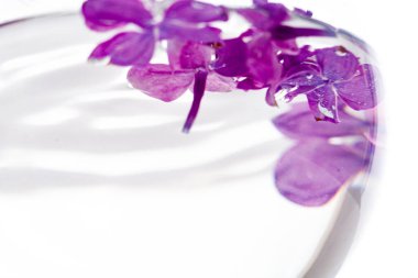 İçinde leylak çiçekleri yüzen bir vazo.