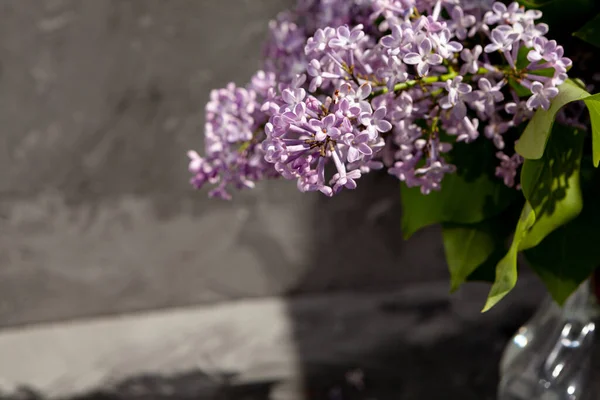 Fleurs Lilas Violettes Roses Bouquet Lilas Vase Verre Sur Contre — Photo