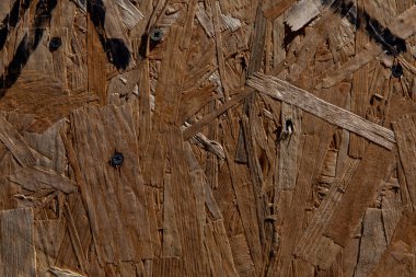 Ezilmiş ahşap talaşının doğal arka planı. Yapıda büyük ahşap parçacıkları görünür..