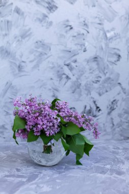 Mor ve pembe leylak çiçekleri. Cam vazoda gri beton bir duvara yaslanmış leylak demeti. Metnin için boşluk ile - Resim