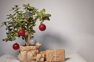 Çiçekten yapılmış Noel ağacı. El yapımı hediye kutuları dekore edildi. Mutlu yıllar. Dantel ve sicimle süslenmiş hediye kutuları. Eko Noel Dekorasyonu.