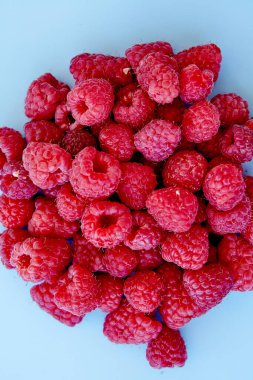 Ahududu deseni, mavi arkaplan, üst yaşam