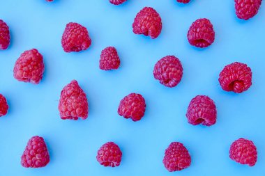 Ahududu deseni, mavi arkaplan, üst yaşam