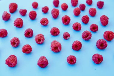 Ahududu deseni, mavi arkaplan, üst yaşam