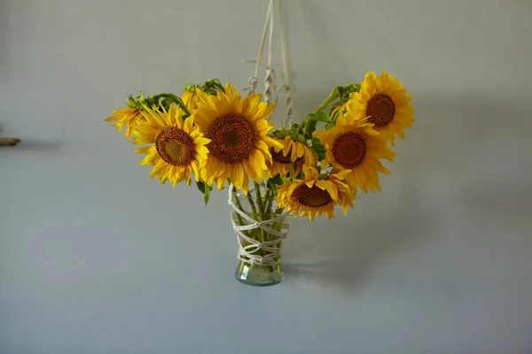 Mazzo Bellissimi Girasoli Vaso Fiori Appesi Muro Vaso Macrame — Foto Stock