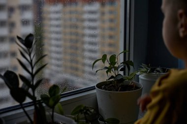 Küçük bir çocuk ne yazık ki pencereden dışarı bakıyor. Yağmurlu hava kavramı. Yağmur yüzünden çocuk evde kalıyor.