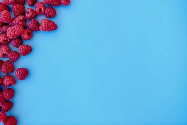 Ahududu deseni, mavi arkaplan, üst yaşam