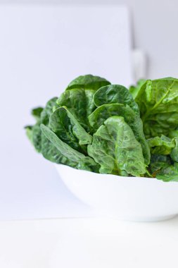 Beyaz üst görüntüde taze ıspanak paketi izole edildi. Sebze bayrağı veya başlık tasarımı. 