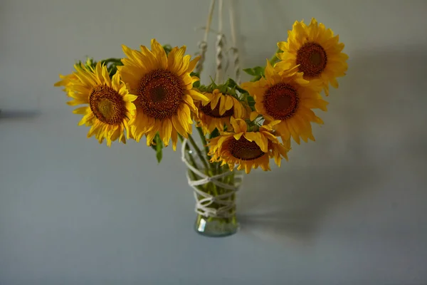 A bouquet of beautiful sunflowers in a vase. Flowers hang on the wall in a macrame vase