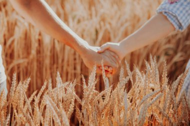 Çiftler el ele tutuşup doğada birlikte yürüyorlar. Aşkı, tarihi, duyguyu kavra. Genç bir çift, erkek kadın, buğday tarlası.