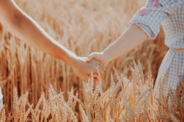Çiftler el ele tutuşup doğada birlikte yürüyorlar. Aşkı, tarihi, duyguyu kavra. Genç bir çift, erkek kadın, buğday tarlası.