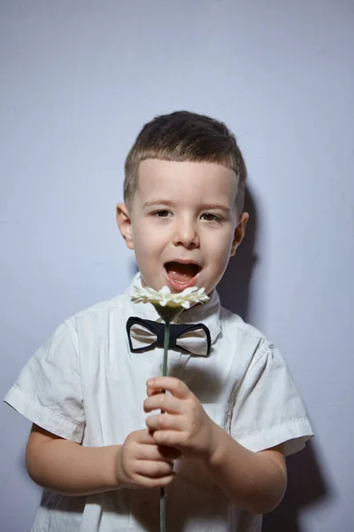 Saint Valentin Happy Boy Tient Debout Tient Fleur Sur Fond — Photo