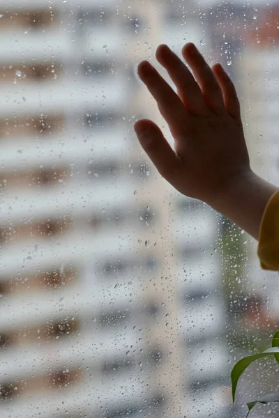 A little boy looks sadly out of the window. The concept of rainy weather. The child stays at home because of the rain