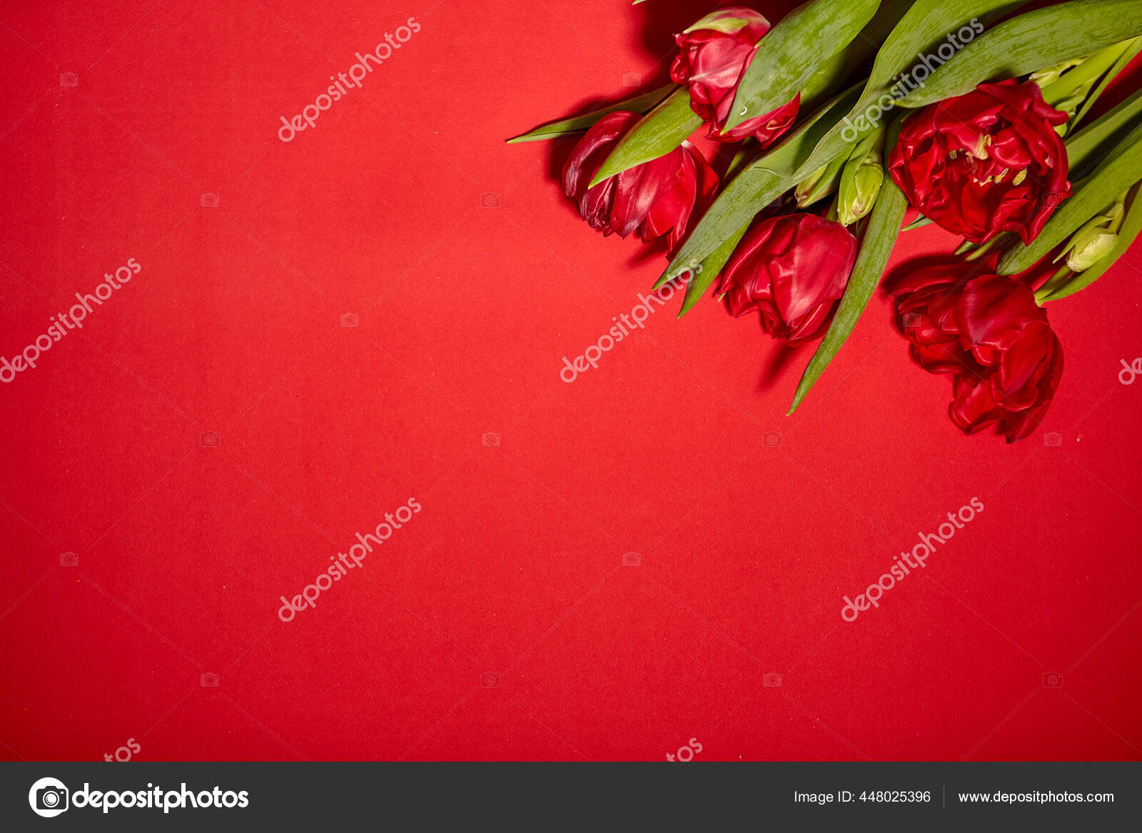 Ramo Tulipanes Rojos Concepto Para Día San Valentín Día Mujer: fotografía  de stock © marikun21 #448025396 | Depositphotos