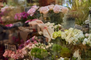 Çiçekçi dolaptan çiçekleri çıkarır. Çiçekçi gelecekteki buket için çiçek seçiyor. Çiçekçi, çiçek dolabında duran ve cam vazodaki çiçekleri kontrol eden maske takıyor..