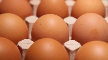 Mavi arka planda tavuk yumurtası paketi. Çiftlikte ya da markette yumurta kutusunda taze çiğ tavuk yumurtası. Bir makro. Yakın plan..