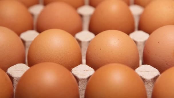 Hühnereiverpackung Auf Blauem Hintergrund Frische Rohe Hühnereier Eierkartons Auf Dem — Stockvideo