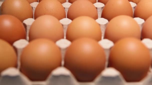 青い背景に鶏の卵の包装 農場や市場で生卵箱に新鮮な生鶏の卵 マクロだ — ストック動画