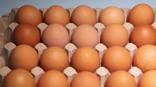 Embalaje Huevos Pollo Sobre Fondo Azul Huevos Gallina Crudos Frescos — Vídeos de Stock