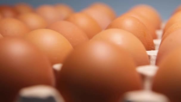 Упаковка Курячих Яєць Синьому Фоні Свіжі Сирі Курячі Яйця Ящику — стокове відео