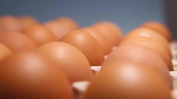 Hühnereiverpackung Auf Blauem Hintergrund Frische Rohe Hühnereier Eierkartons Auf Dem — Stockvideo