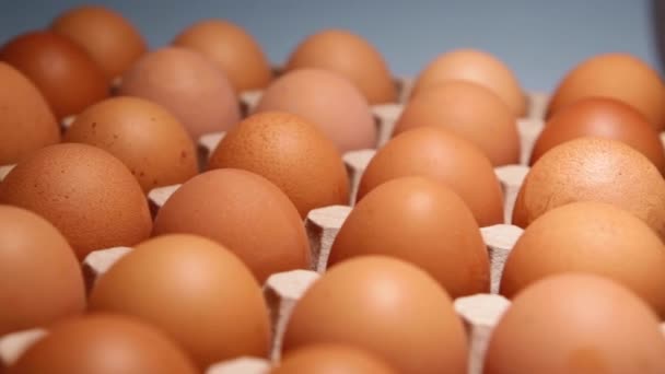 Embalaje Huevos Pollo Sobre Fondo Azul Huevos Gallina Crudos Frescos — Vídeo de stock