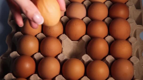 Truck Shot Close Human Hand Lift Raw Chicken Egg Egg — Stock Video