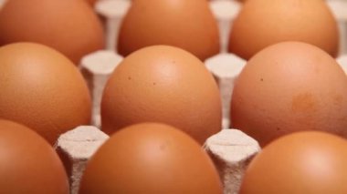 Mavi arka planda tavuk yumurtası ambalajı. 