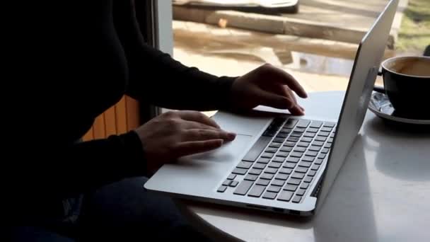 Bir kadın kafede oturur ve dizüstü bilgisayarda çalışır.. — Stok video