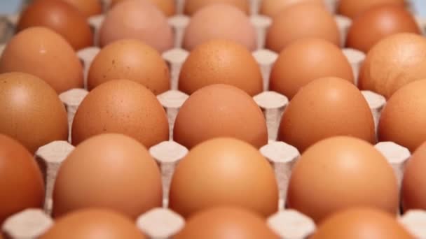 Embalaje de huevos de pollo sobre fondo azul. — Vídeos de Stock