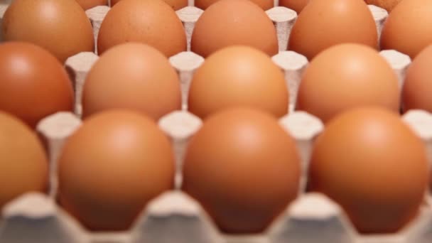 Chicken egg packaging on a blue background. — Stock Video