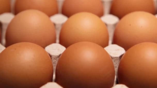 Chicken egg packaging on a blue background. — Stock Video