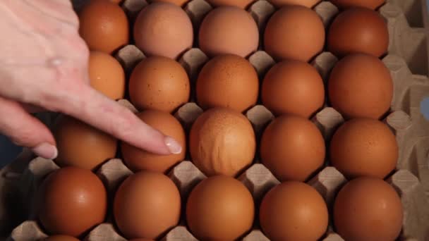 Ludzka ręka podnosi surowe kurze jajko — Wideo stockowe