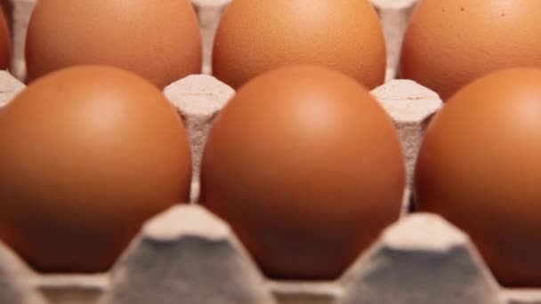 Embalaje de huevos de pollo sobre fondo azul. — Vídeo de stock