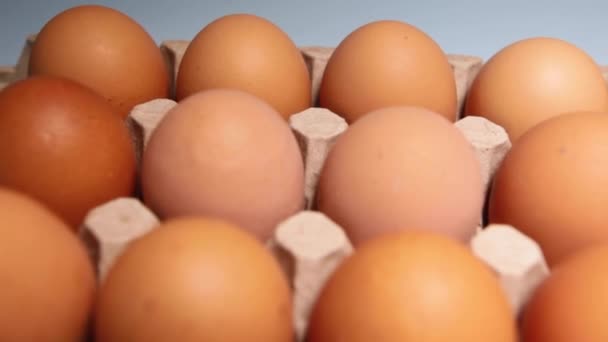 Embalaje de huevos de pollo sobre fondo azul. — Vídeo de stock