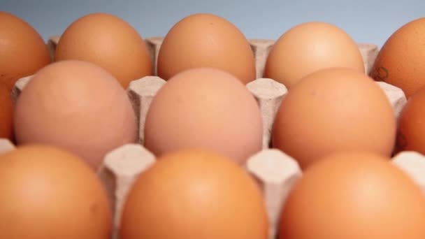 Embalaje de huevos de pollo sobre fondo azul. — Vídeo de stock