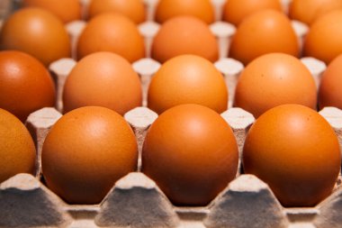 Kahverengi tavuk yumurtalarından oluşan bir kaset, doğal bir alt katmanda, üst katmanda. Yemek arkaplanı. Kasetteki yumurtalar.