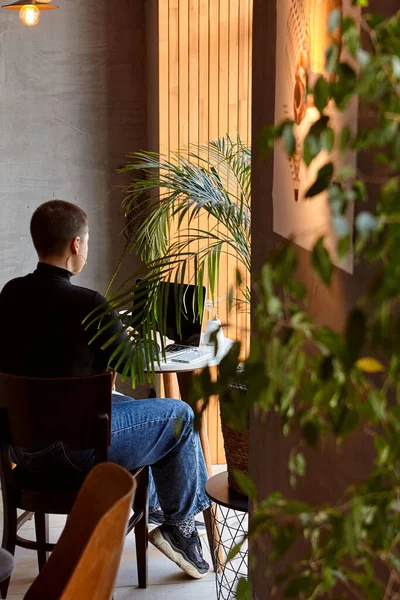 A young girl with short hair and a nose piercing is sitting in a cafe and working on a laptop. The concept of freelancing and remote work or training.