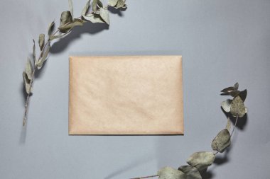 Gri arka planda kahverengi bir zarf. Kapalı el işi zarf, okaliptüs dalı gri masada. Davetiye kartı modeli. Düz konum, üst görünüm, kopyalama alanı, alaycı